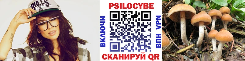 это как зайти  дарнет шоп  Александров  Псилоцибиновые грибы Magic Shrooms 