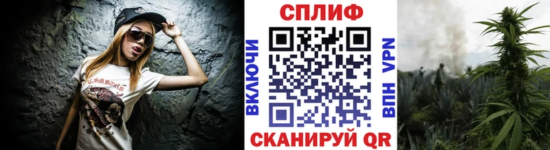 Канабис план  как найти наркотики  Александров 